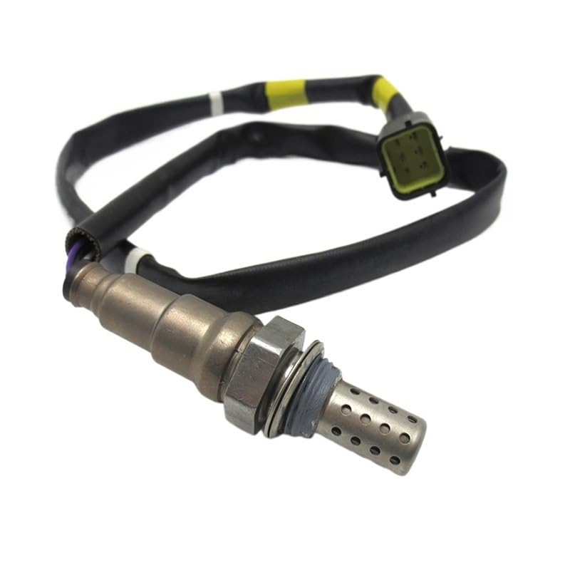 茶道具 黒漆 十二器棗 仙叟 時代箱 F R8089C